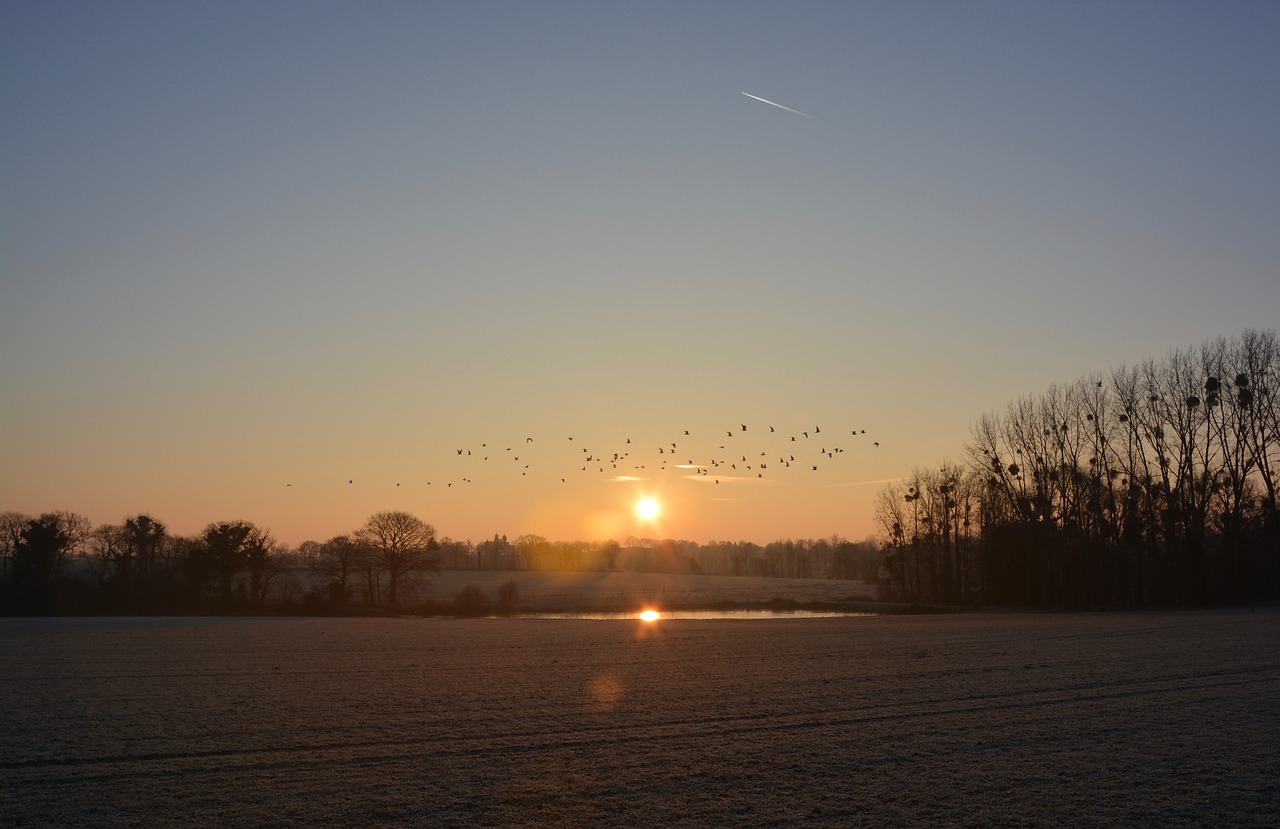 sun sky light free photo