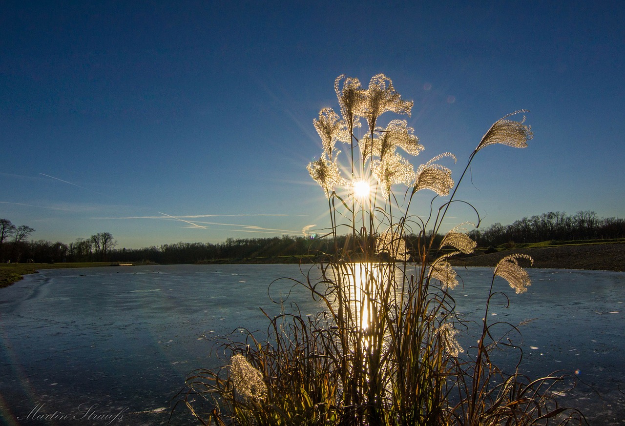 sun water bank free photo