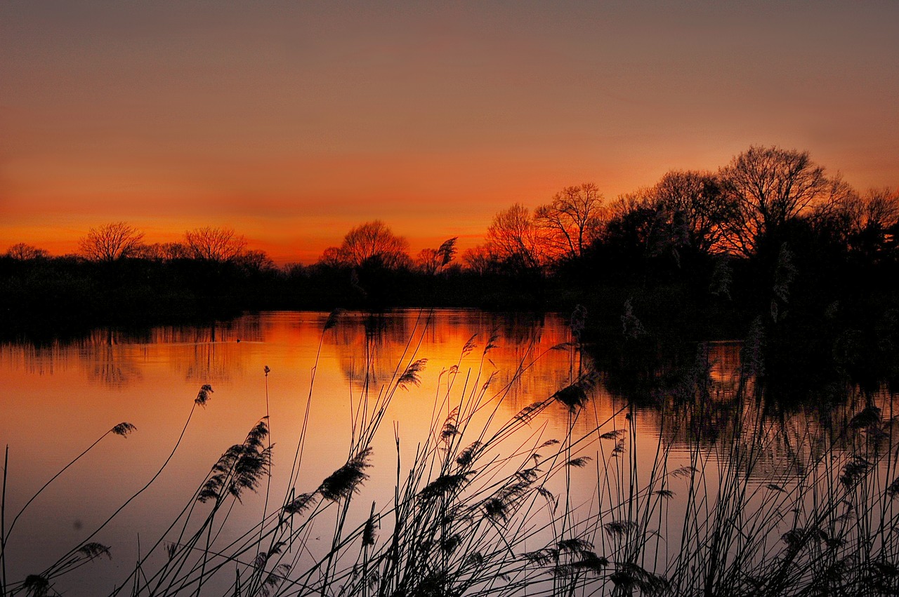 sun pond water free photo