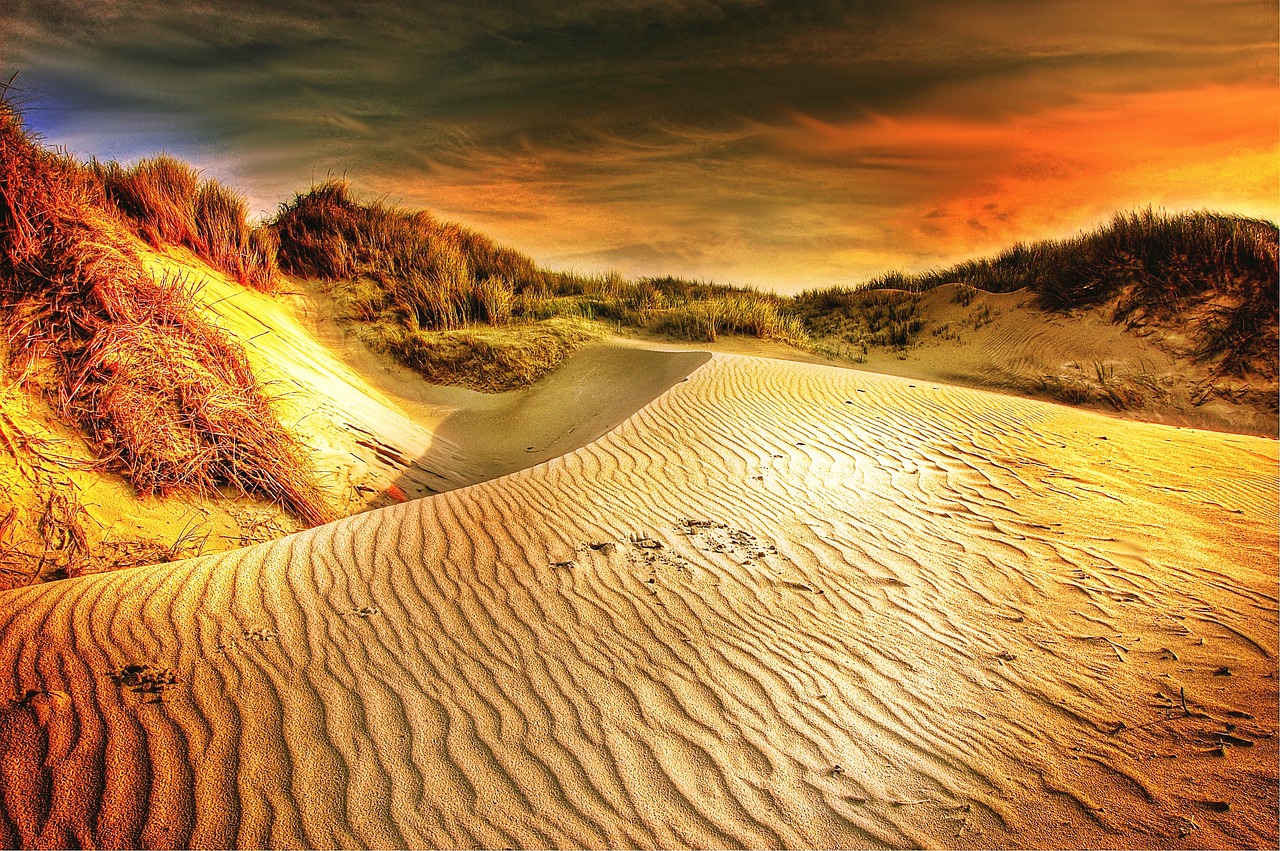 sun dunes sand free photo