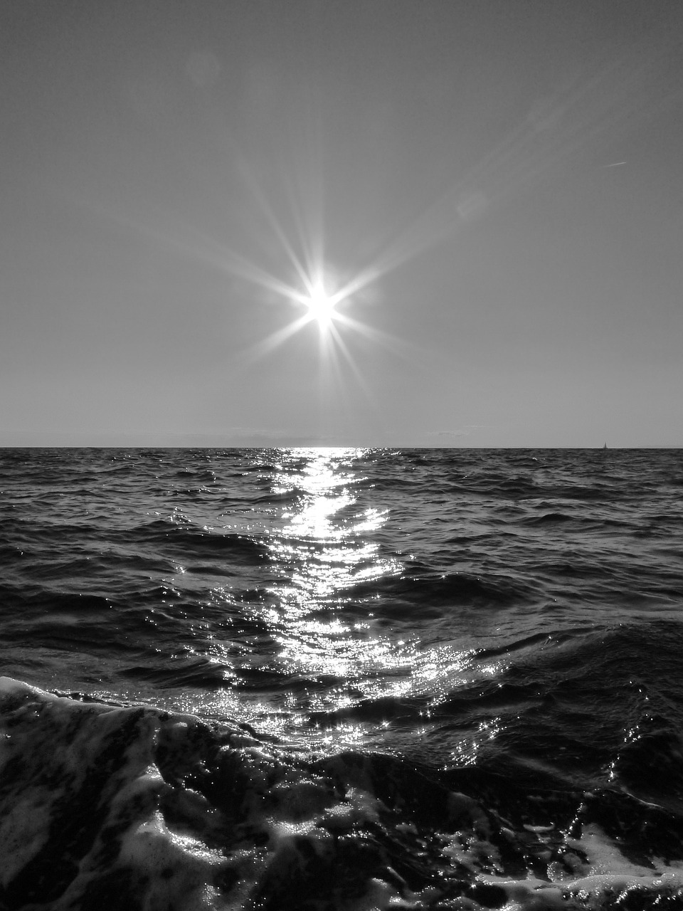 sun sea open waters free photo