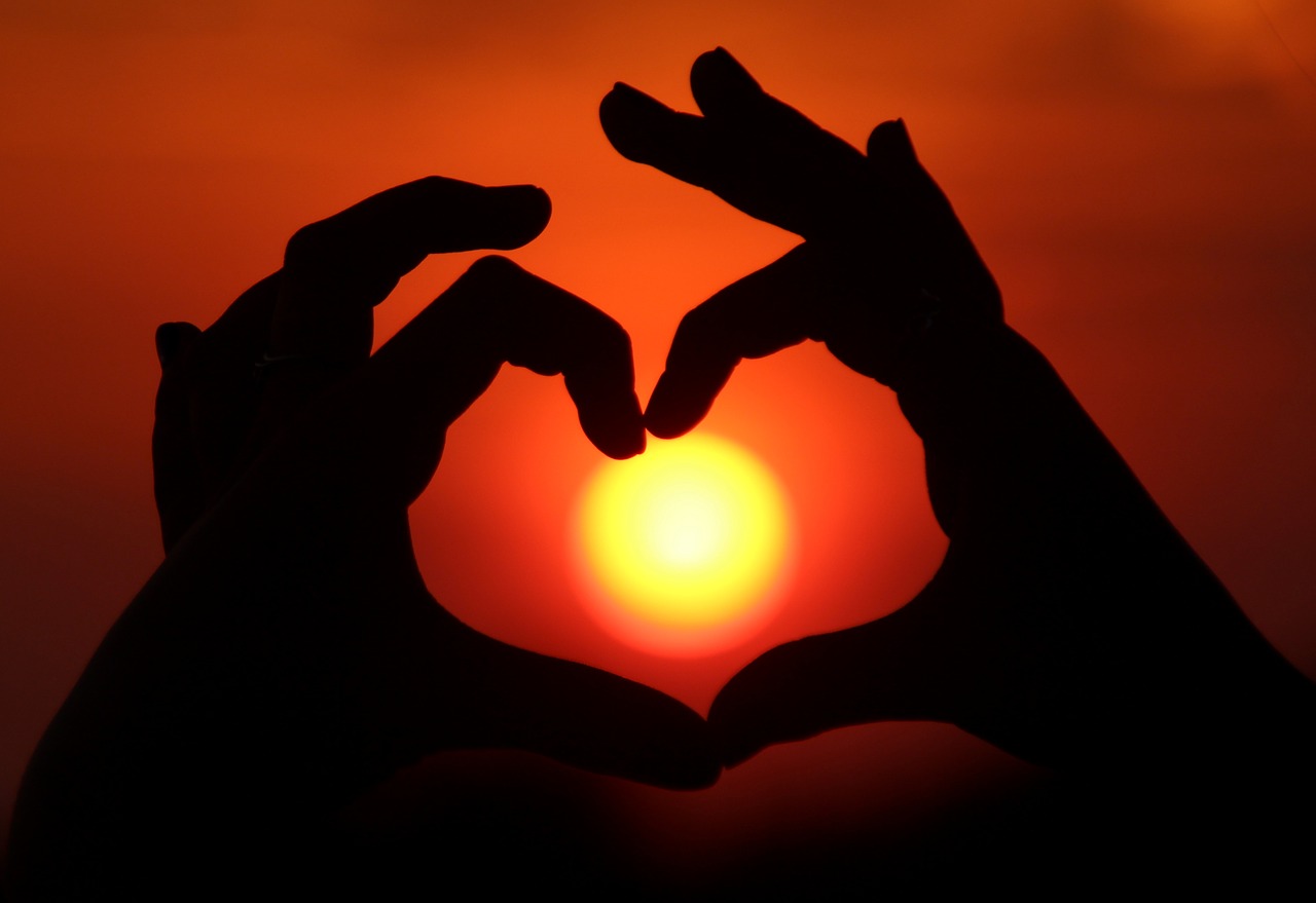 sun hands heart free photo