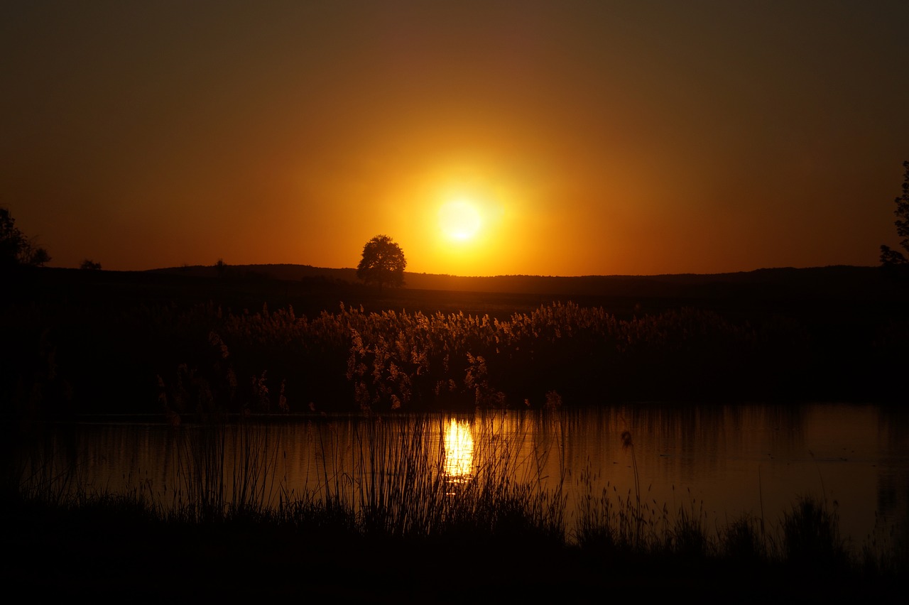 sun orange orange sun free photo