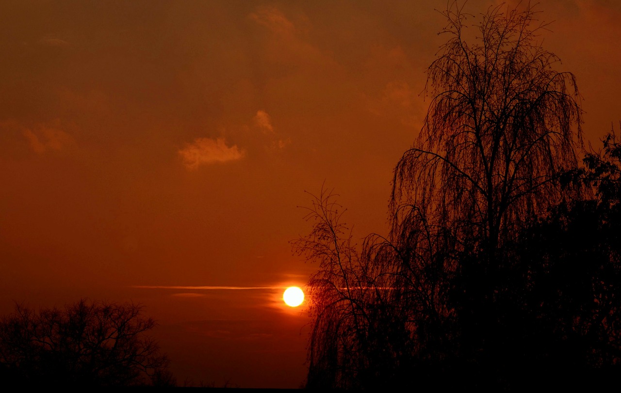 Sun,setting sun,sunset,evening sky,trees free image from