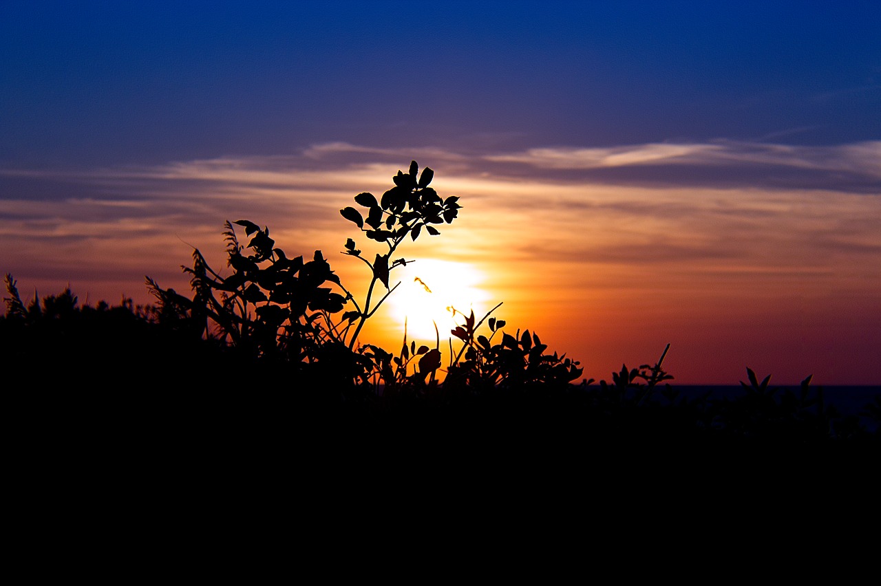 sun setting silhouette free photo