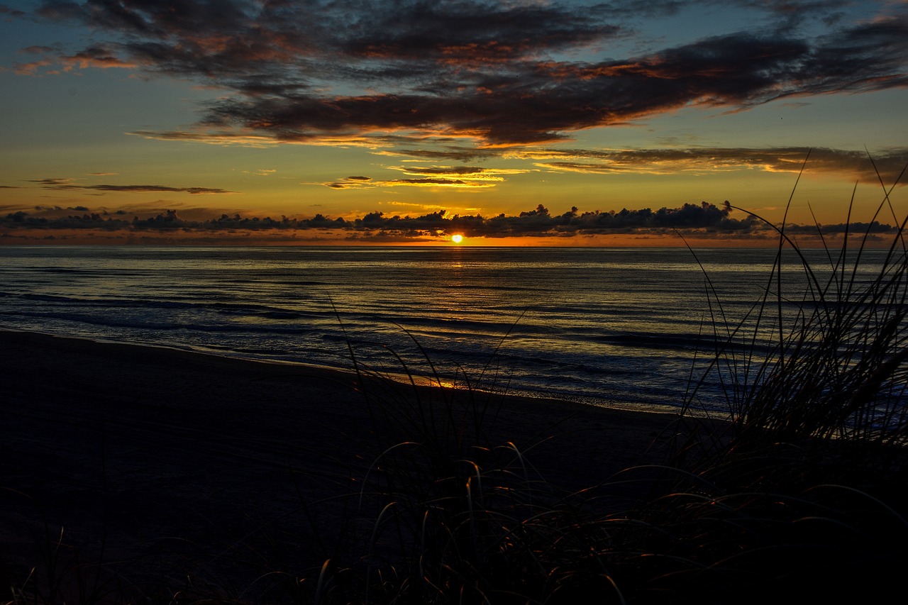 sun north sea beach free photo