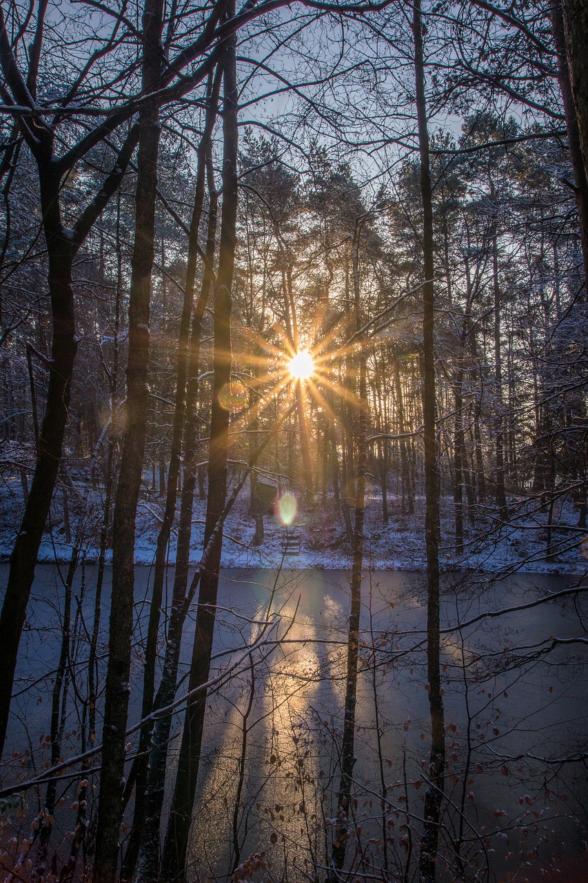 sun reflection water free photo