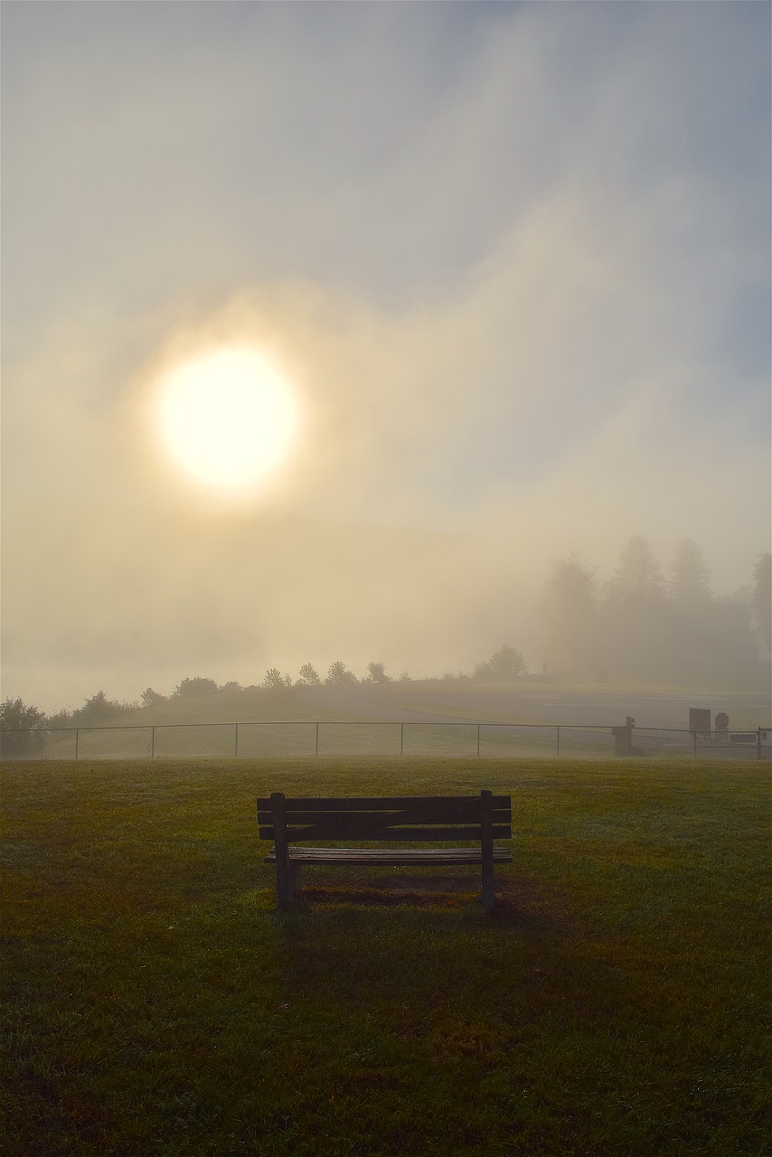 sun mist morning free photo