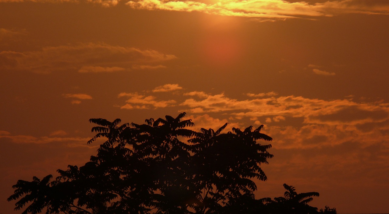 sun sunset abendstimmung free photo
