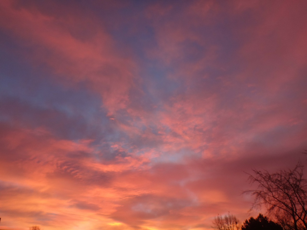 sun romantic evening sky free photo