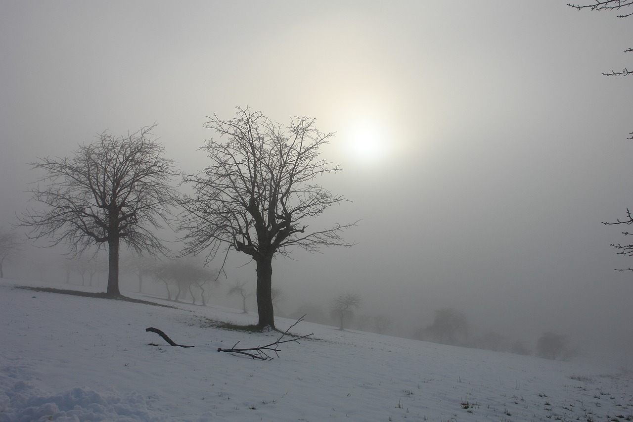 sun winter snow free photo