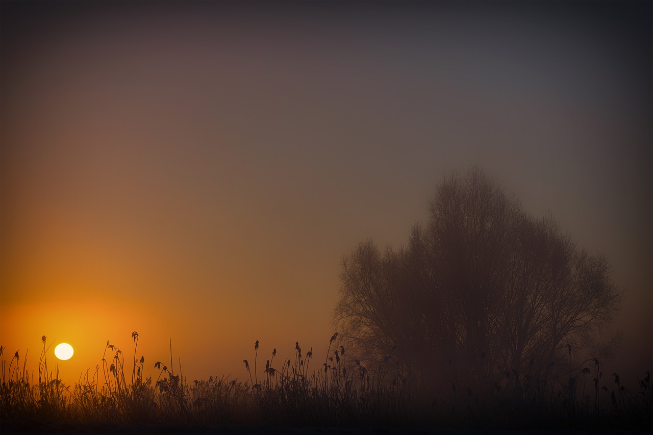 sun sunrise fog free photo