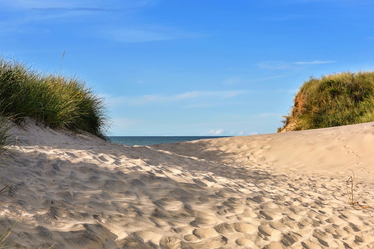 sun north sea beach free photo