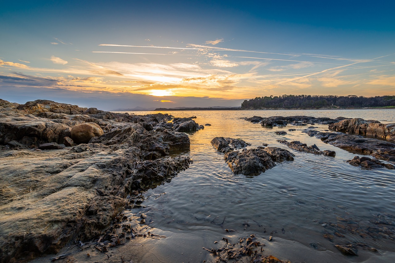 sun  sea  travel free photo