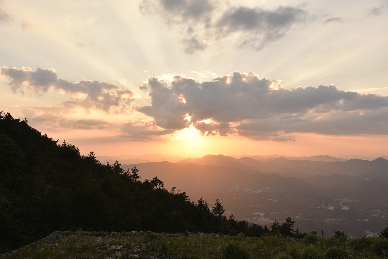 sun  sunset  cloud free photo