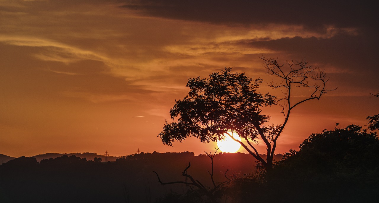 sun  twilight  red free photo