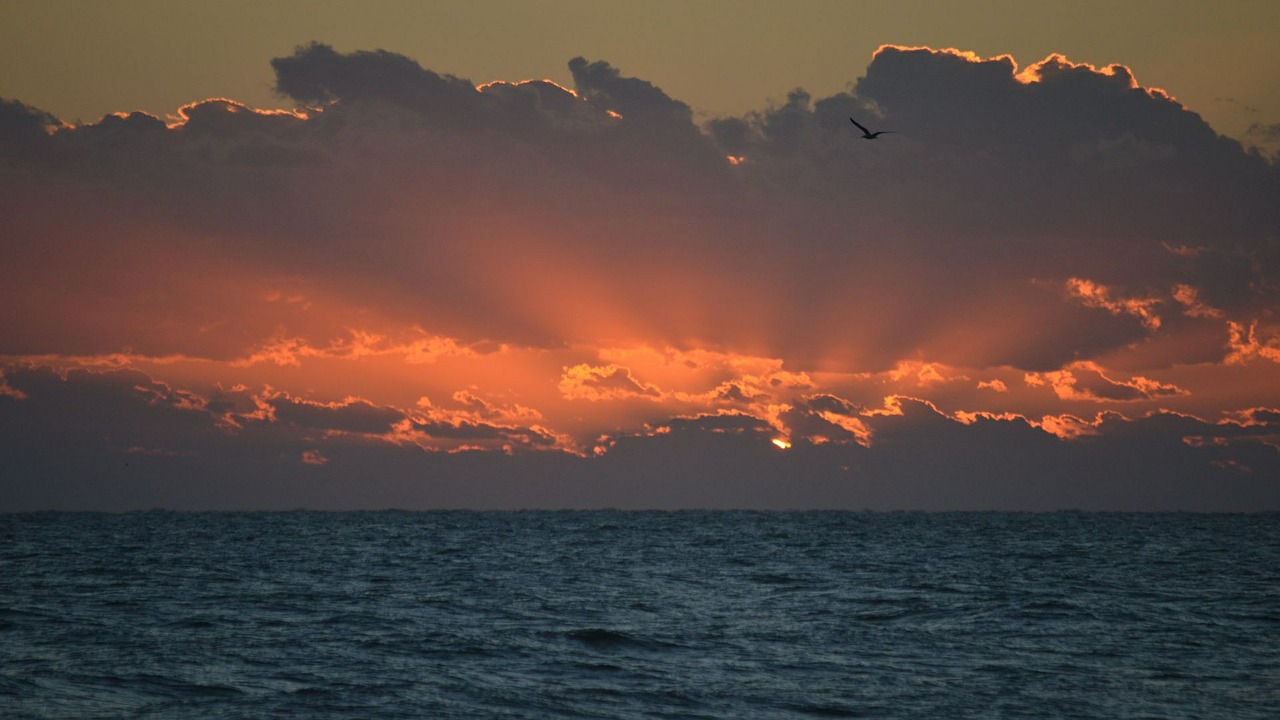 sun water ocean free photo