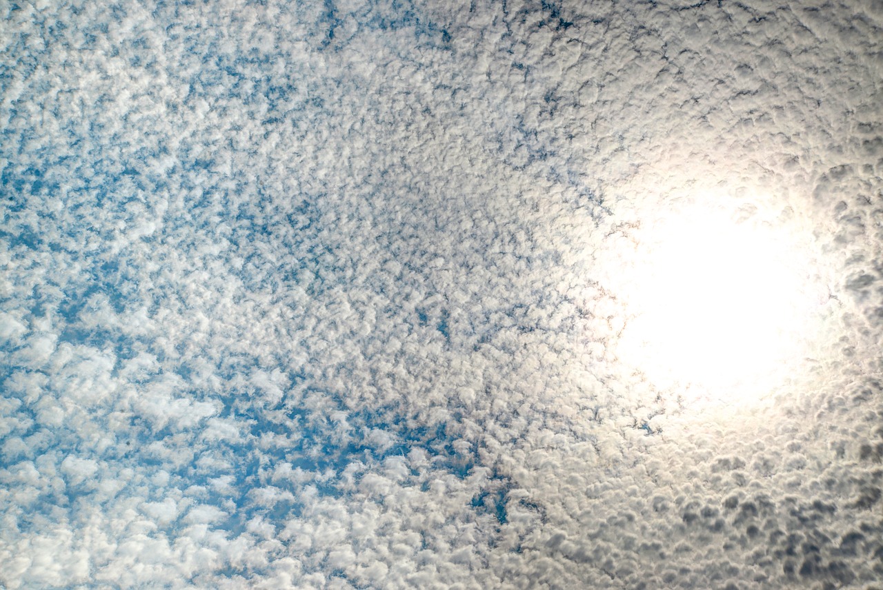 sun  sheep clouds  sky free photo