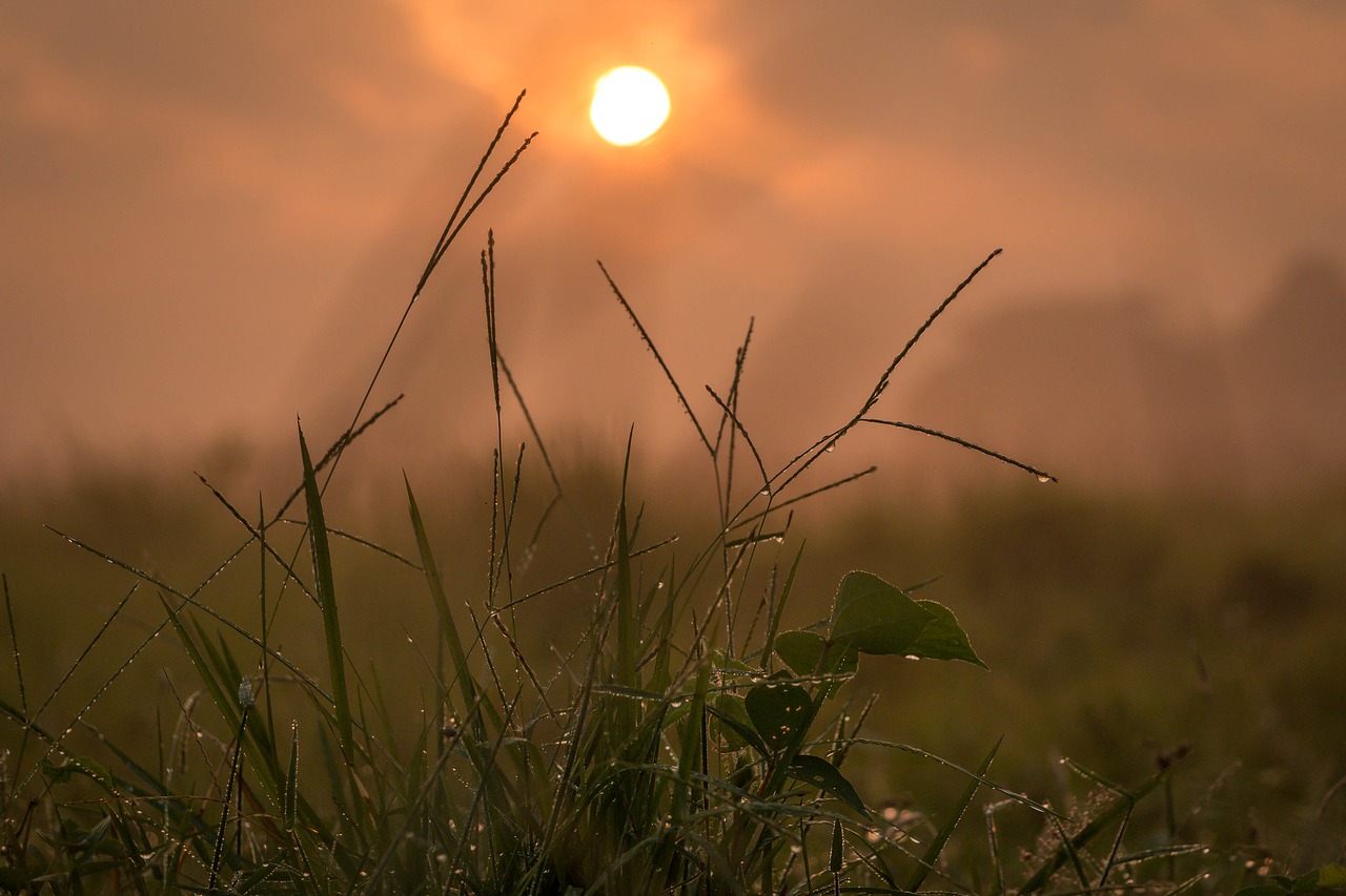 sun  sunrise  sky free photo