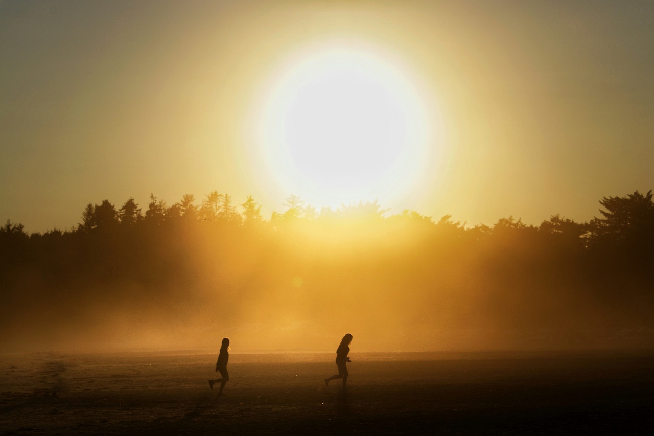 sun  beach  backlighting free photo