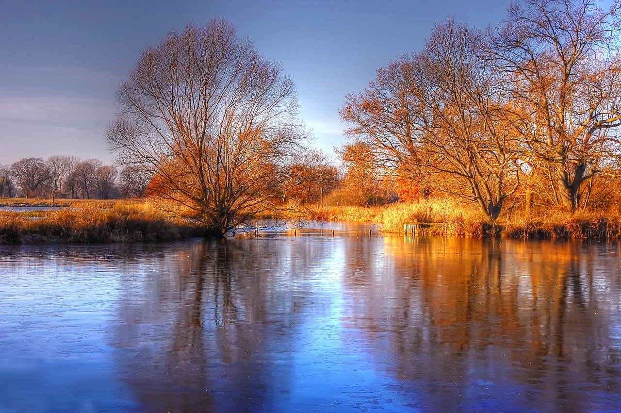 sun  pond  water free photo