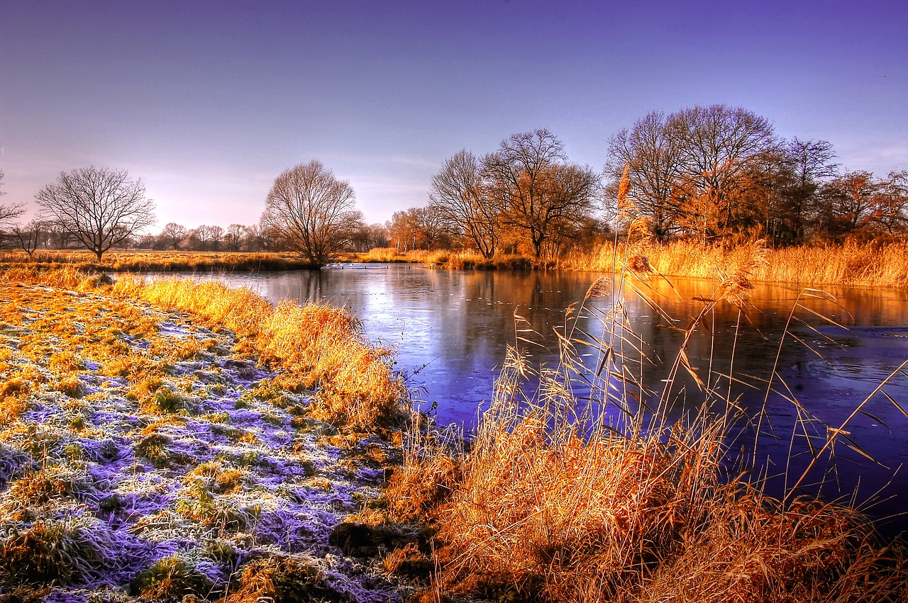 sun  pond  water free photo