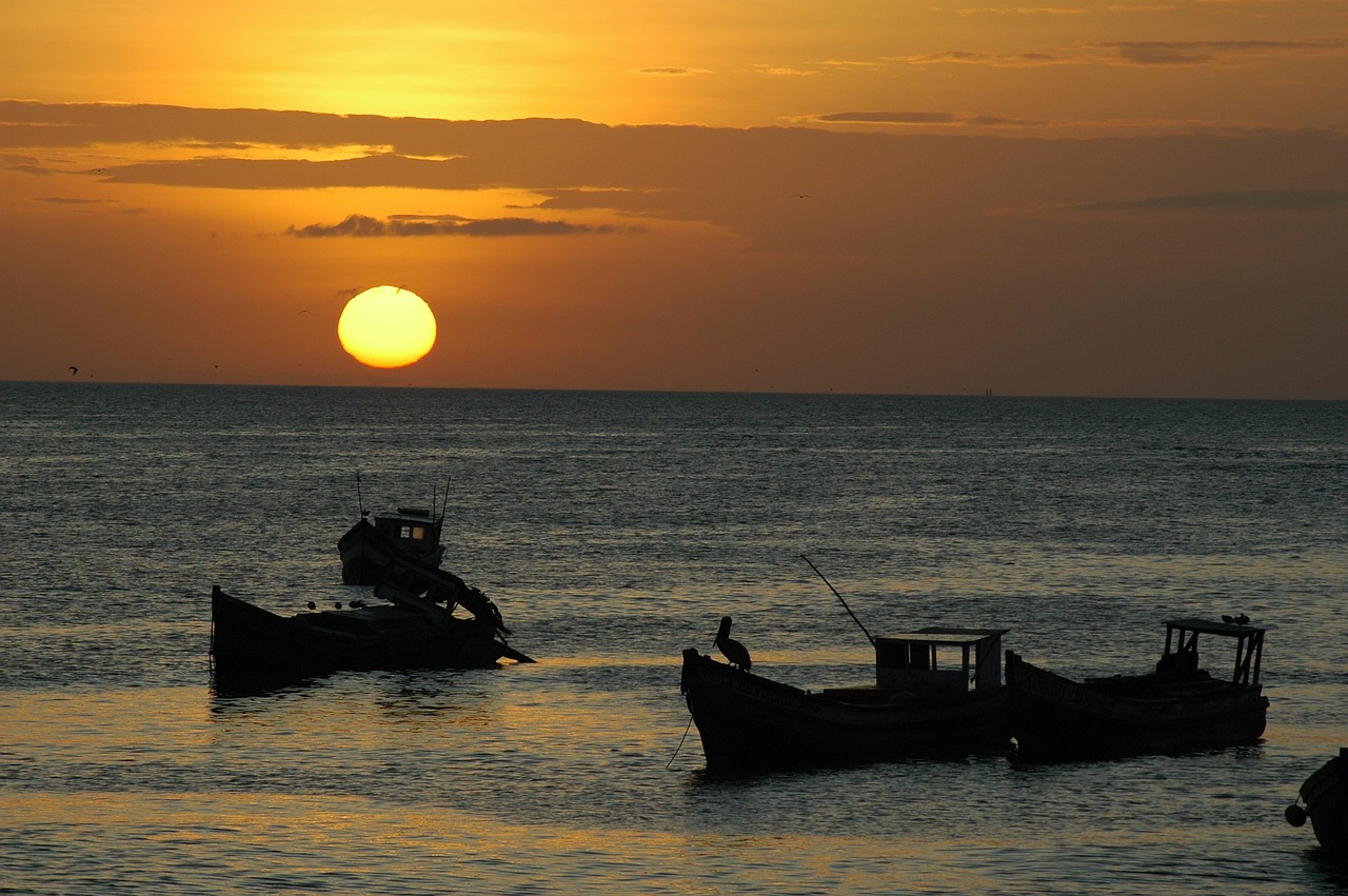 sun  dawn  beach free photo