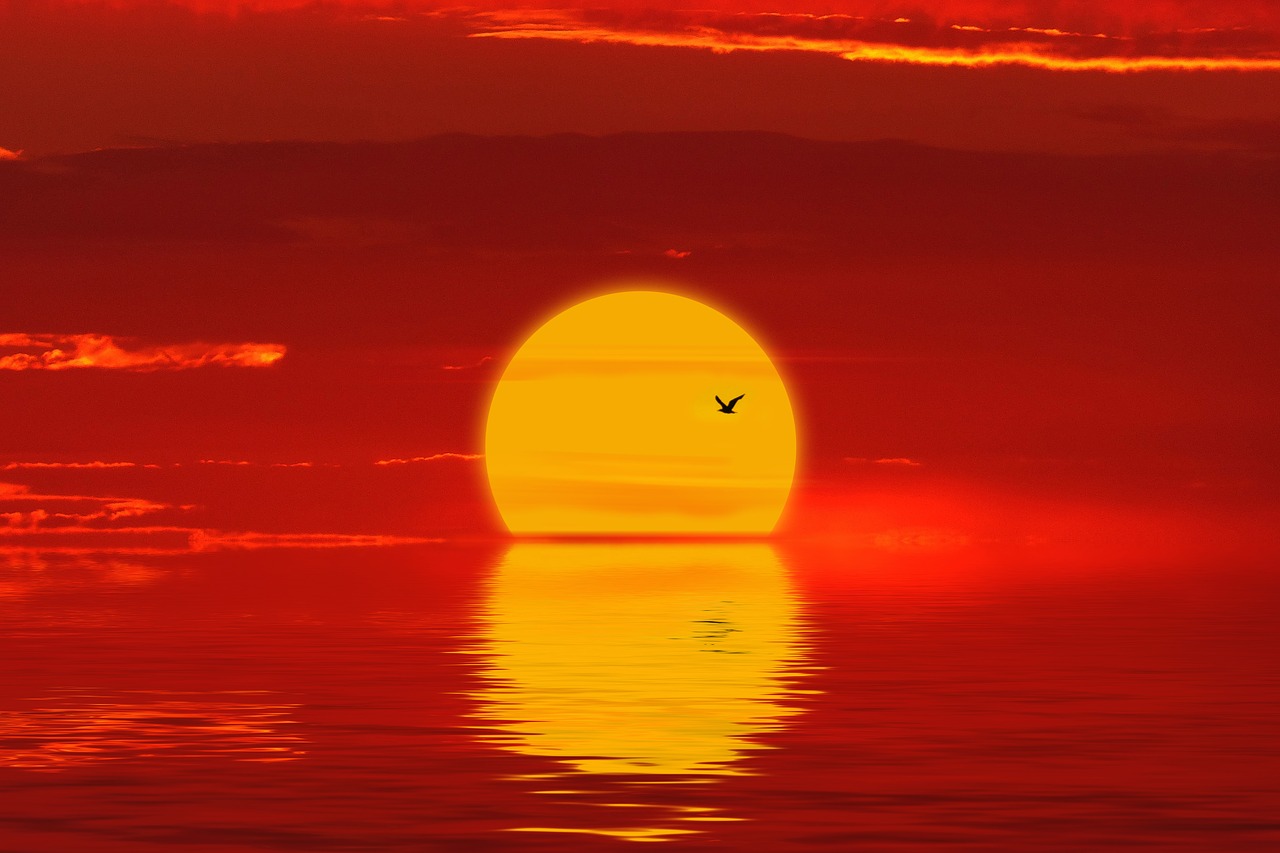 sun  sunset  sea free photo