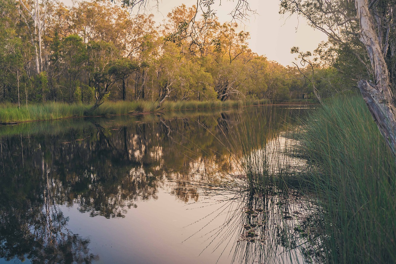 sun  lake  lagoon free photo