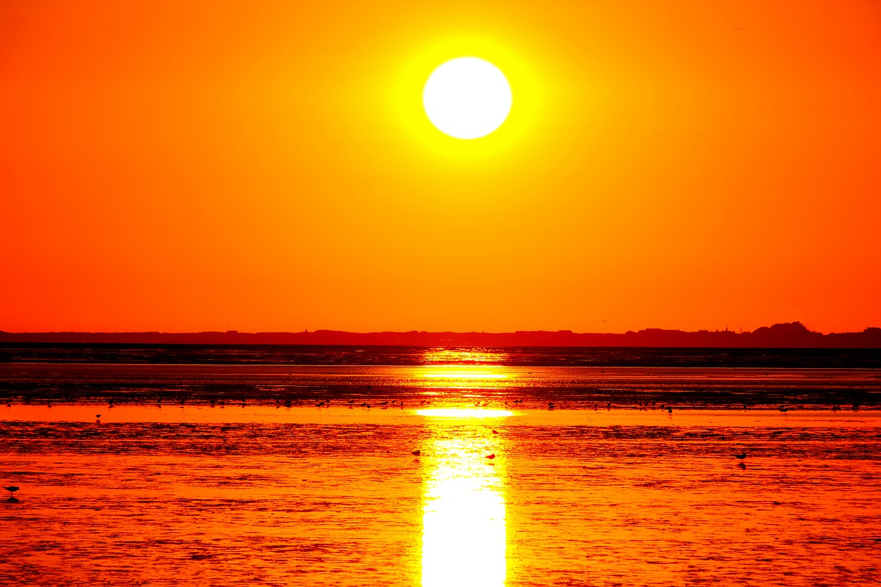 sun  sunset  landscape free photo