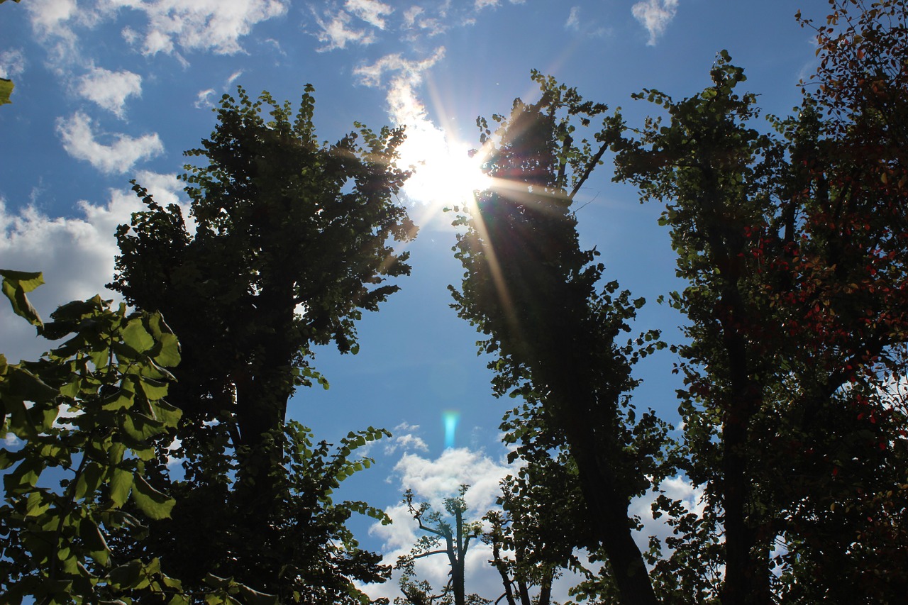 sun blue sky clouds free photo