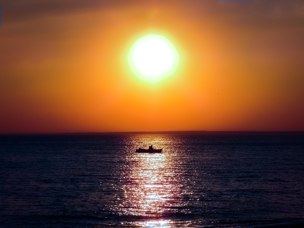 sun  sunset  sea free photo