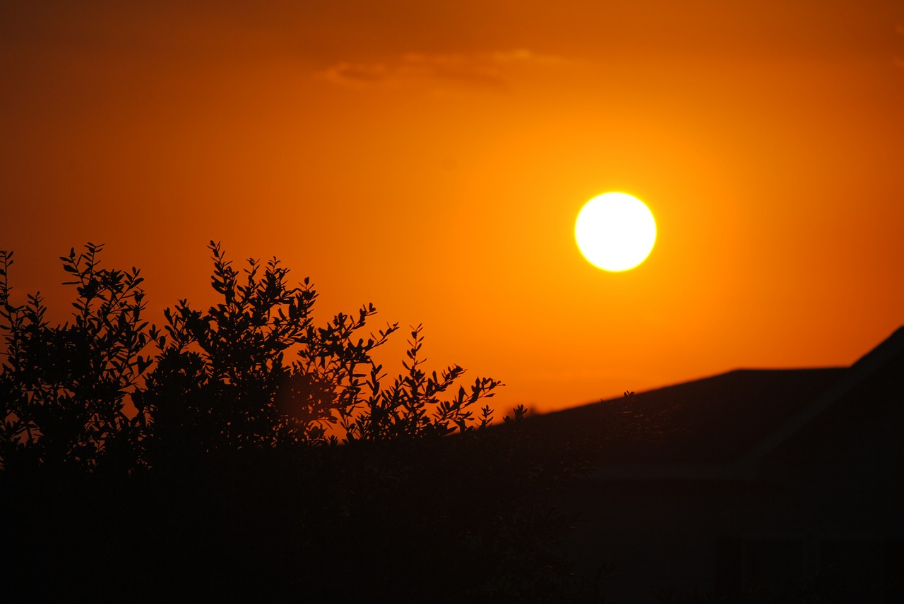 sun sunset silhouette free photo