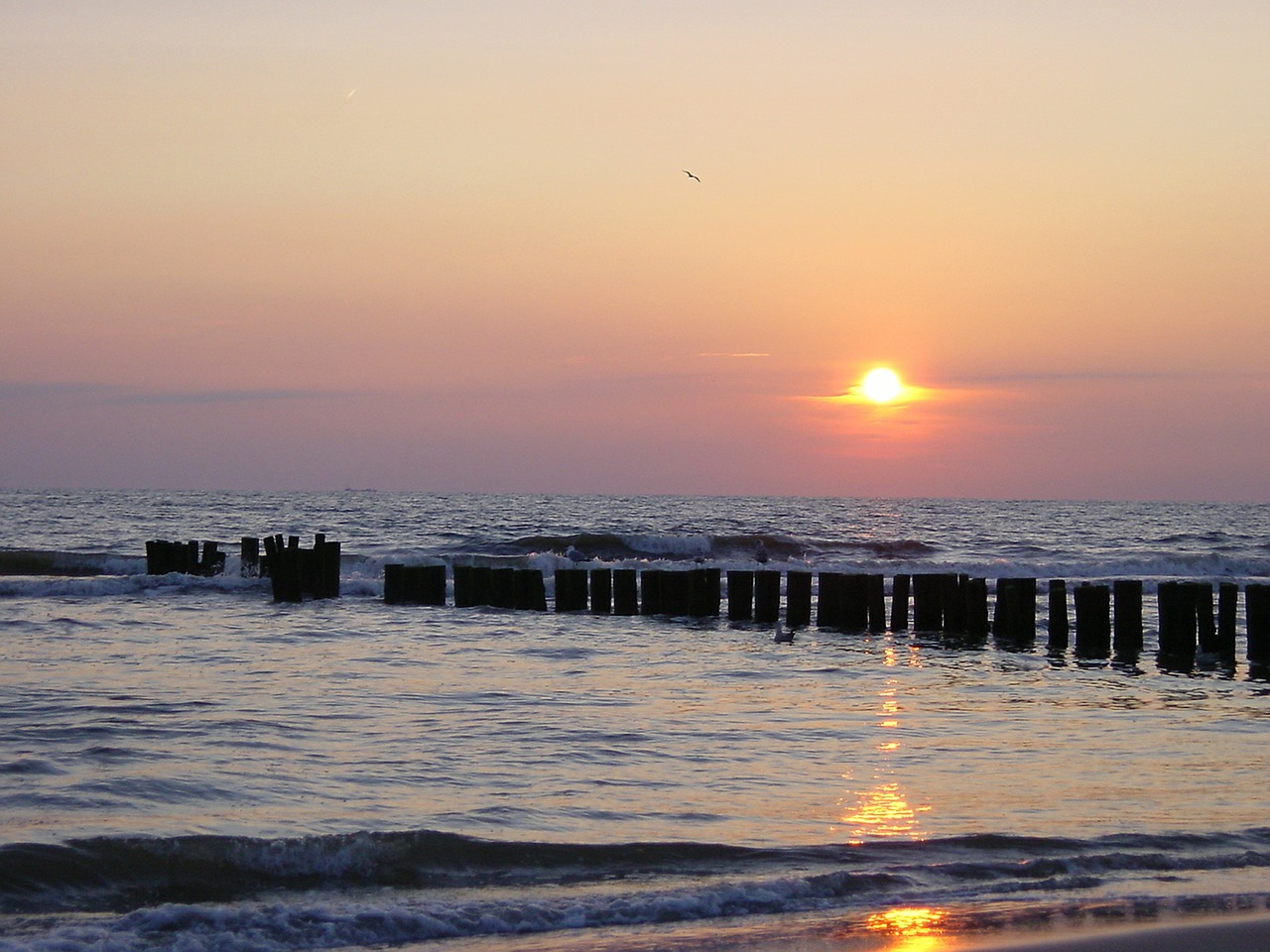 sun sea setting sun free photo