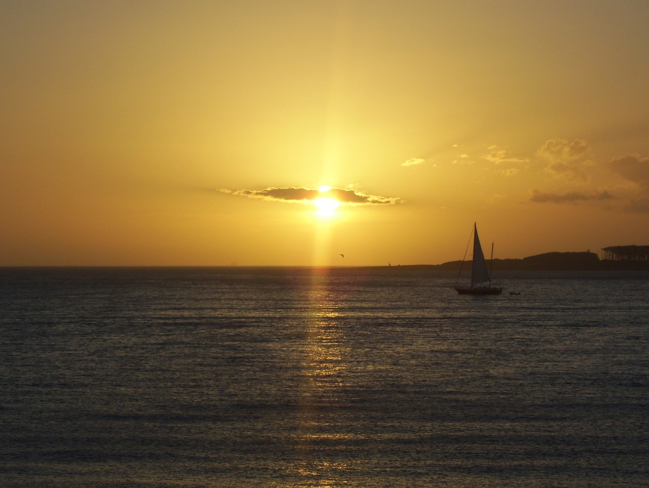 sun sailboat sea free photo