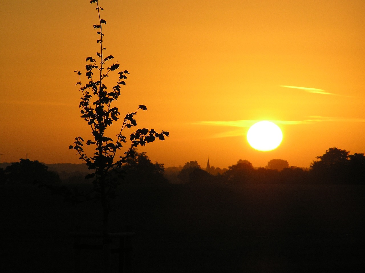 sun sunrise skies free photo