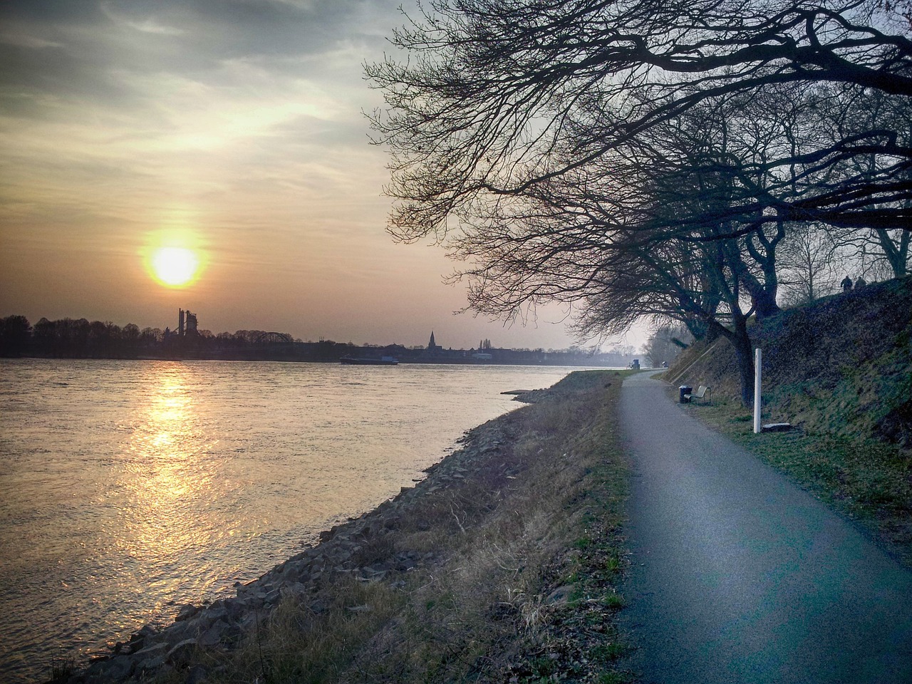 sun sunset rhine free photo