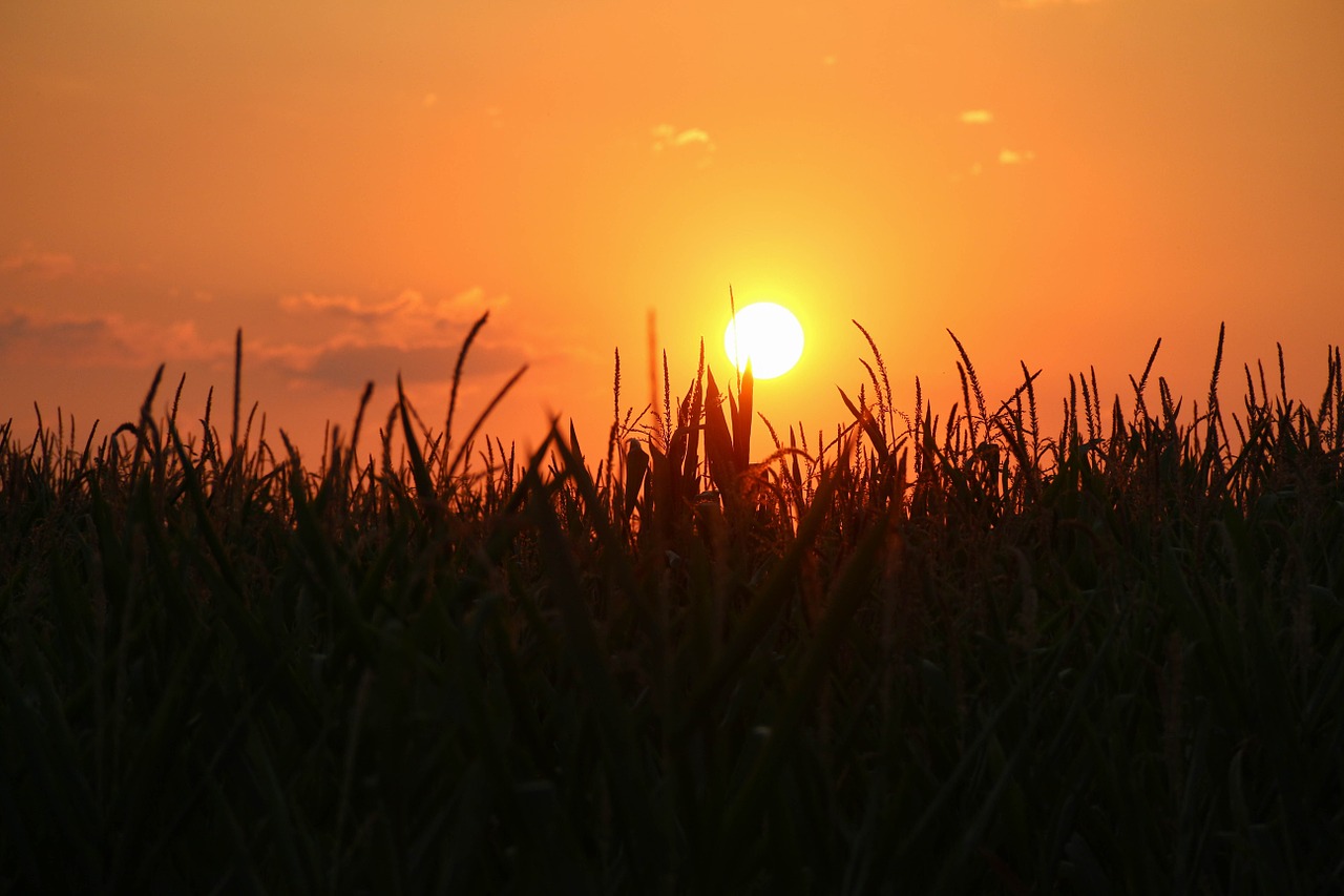 sun sunset abendstimmung free photo