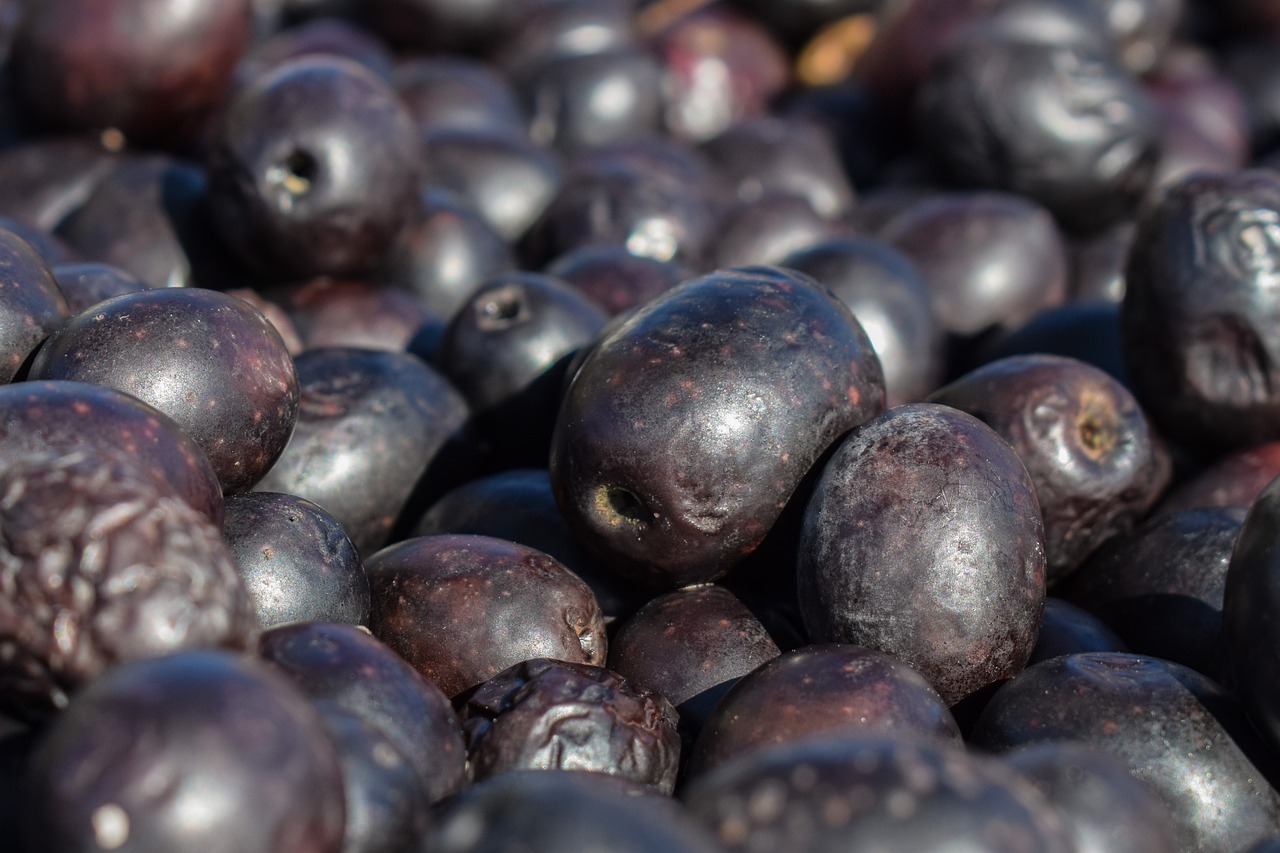 sun-dried olives produce food free photo