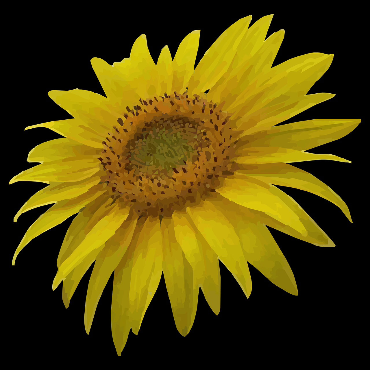 sun flower sunflower yellow free photo