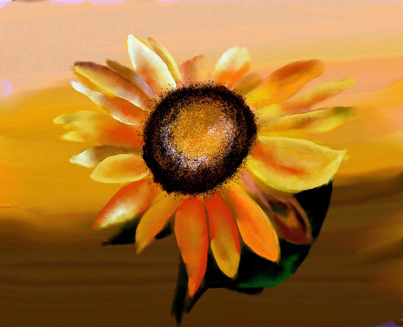 sun flower flower blossom free photo