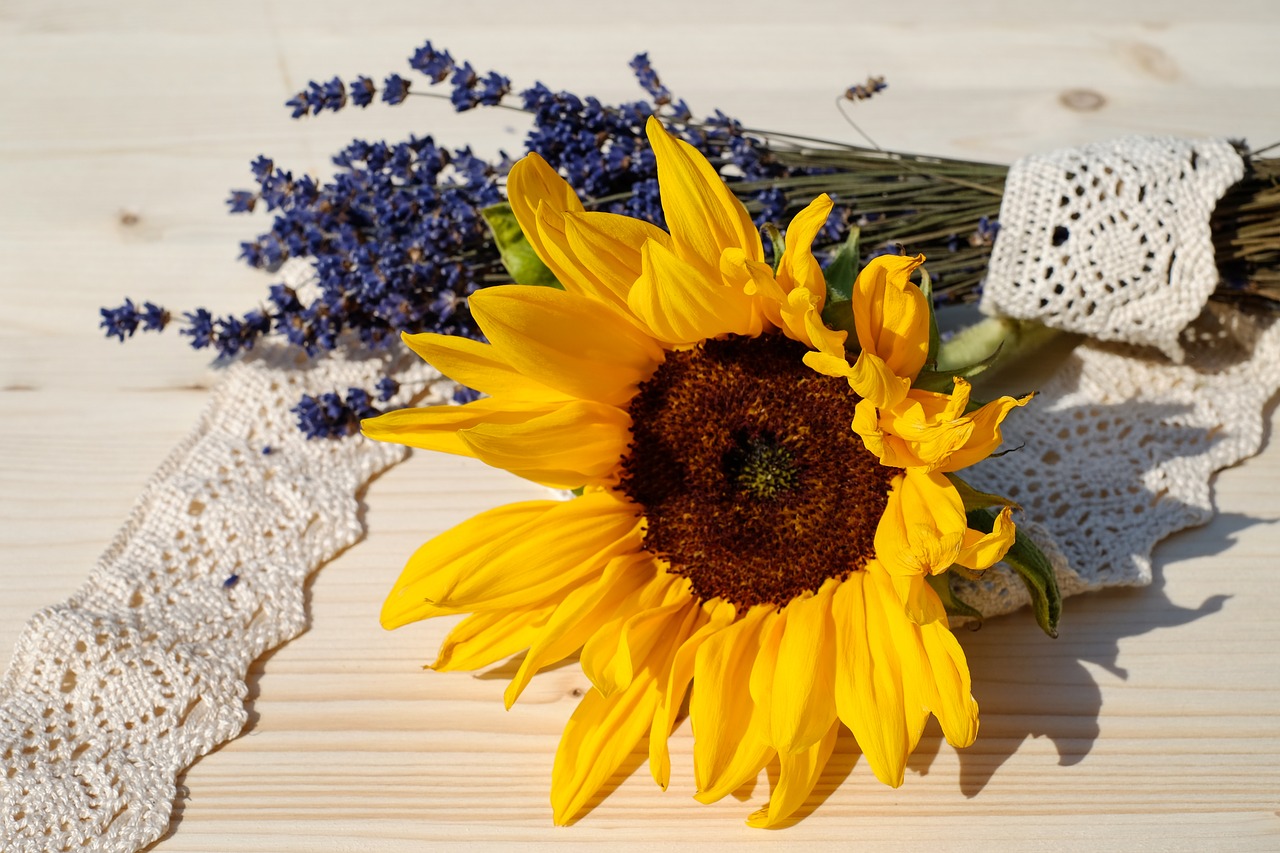 sun flower blossom bloom free photo