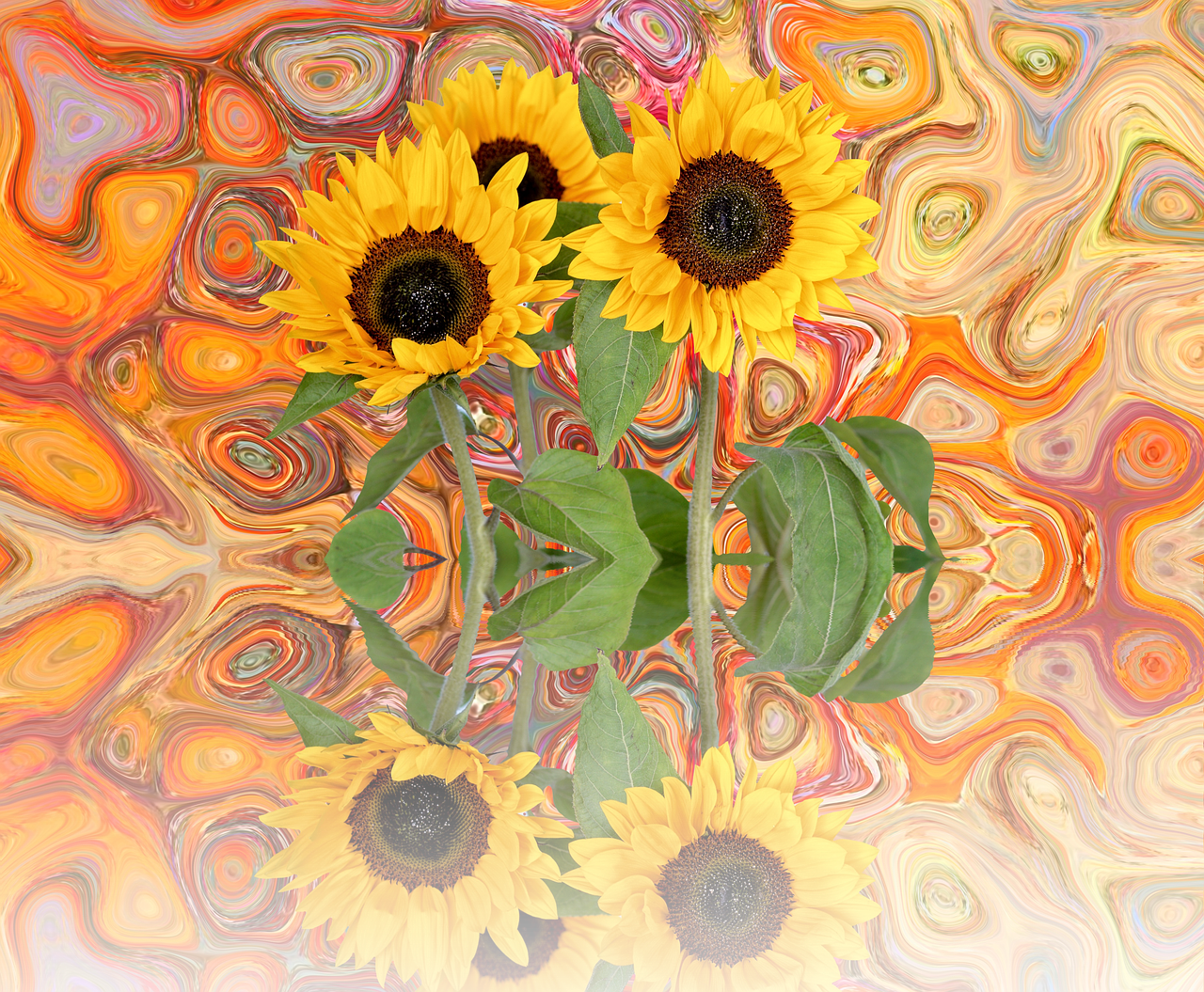 sun flower summer late summer free photo