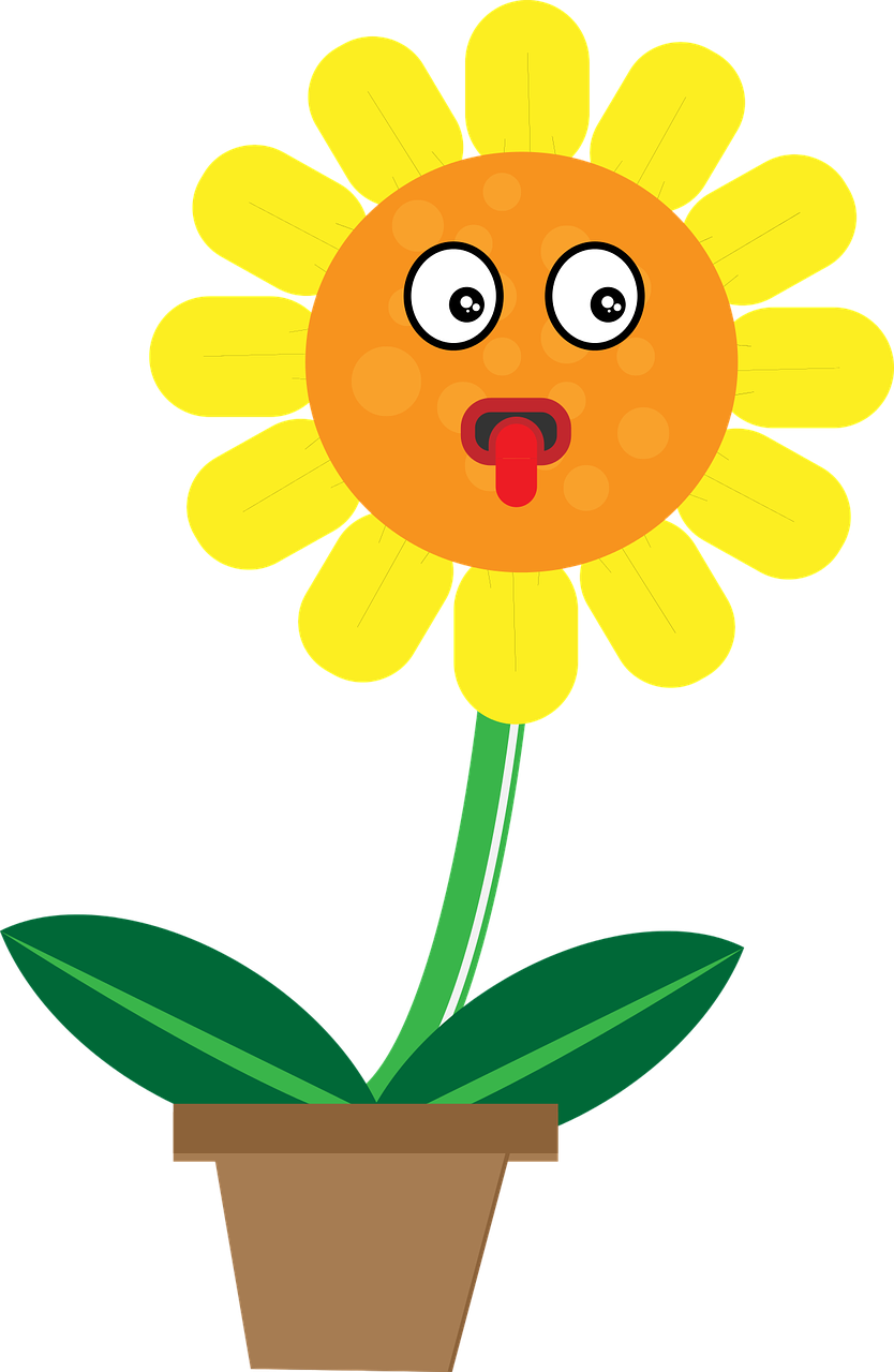 sun flower  character animation  cute free photo