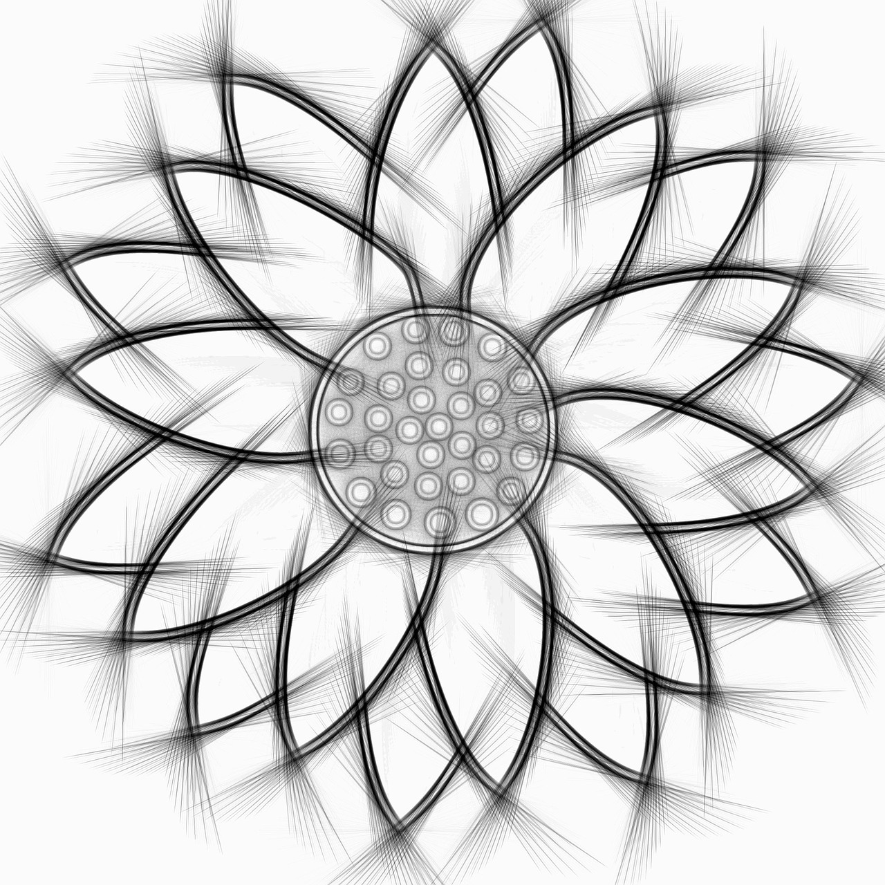 sun flower abstract pencil free photo