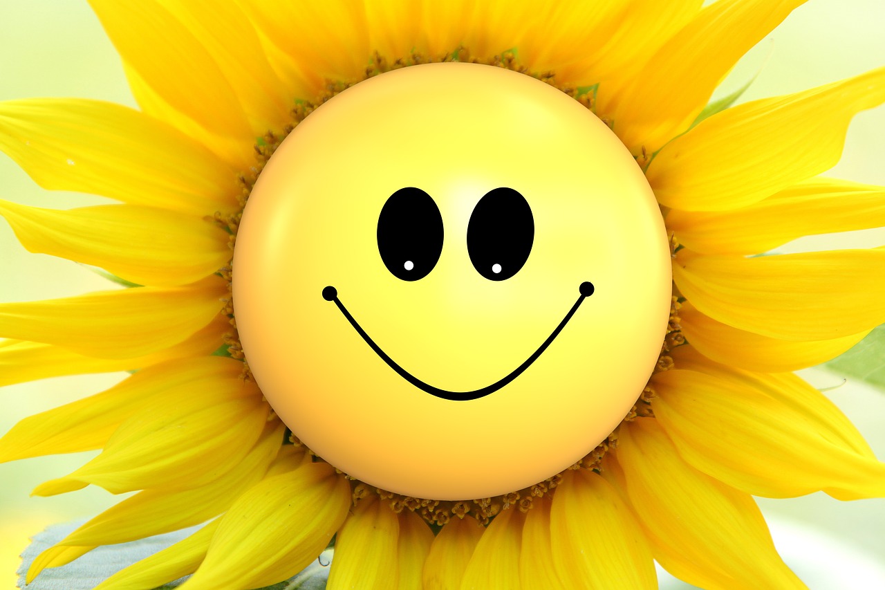 sun flower flowers smiley free photo