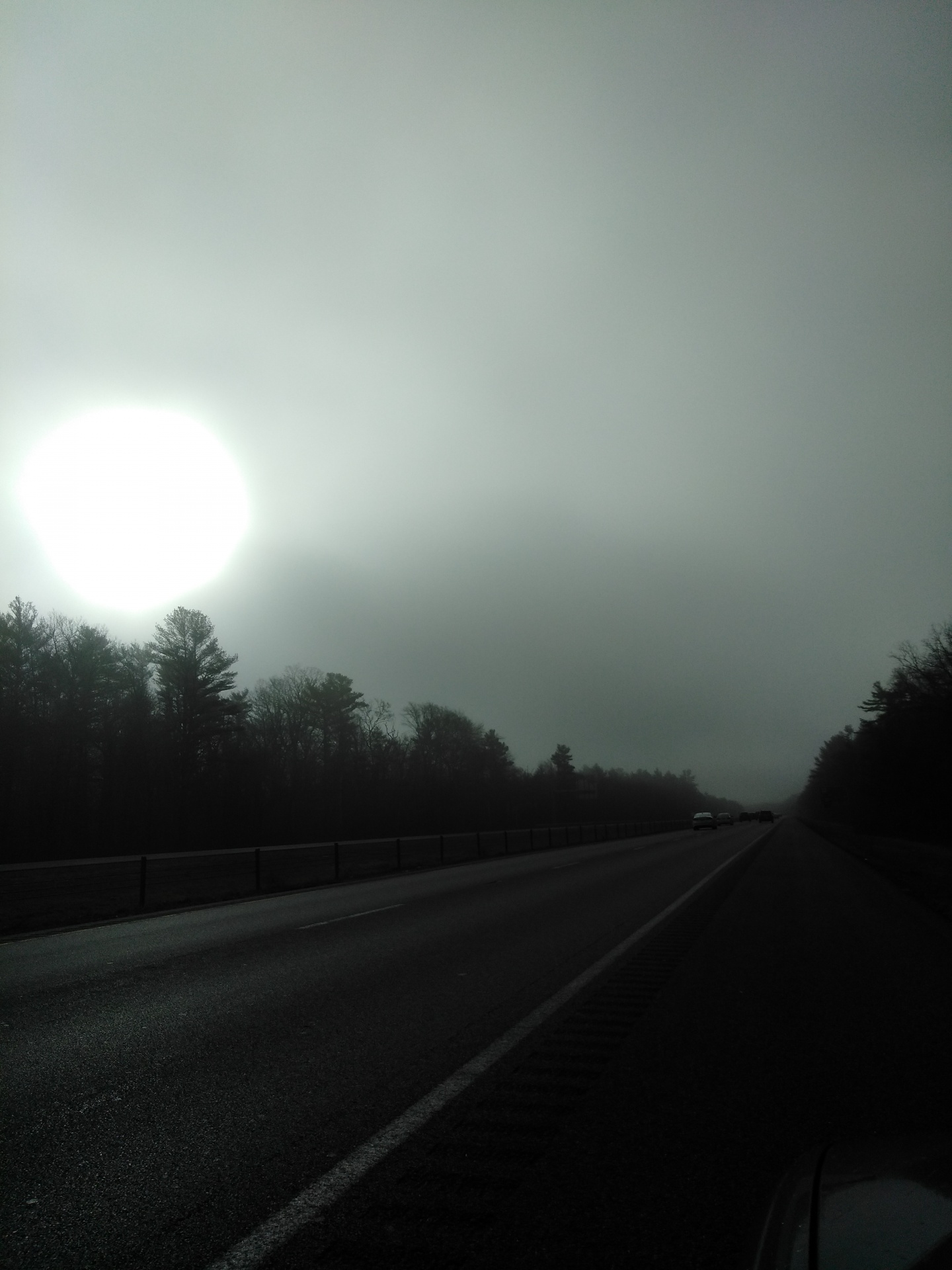 sun fog highway free photo