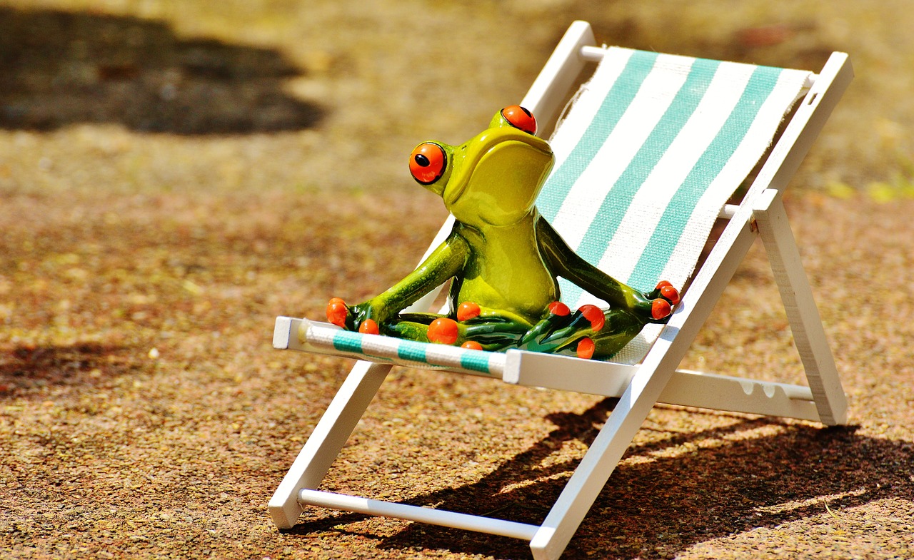 sun loungers beach frog free photo
