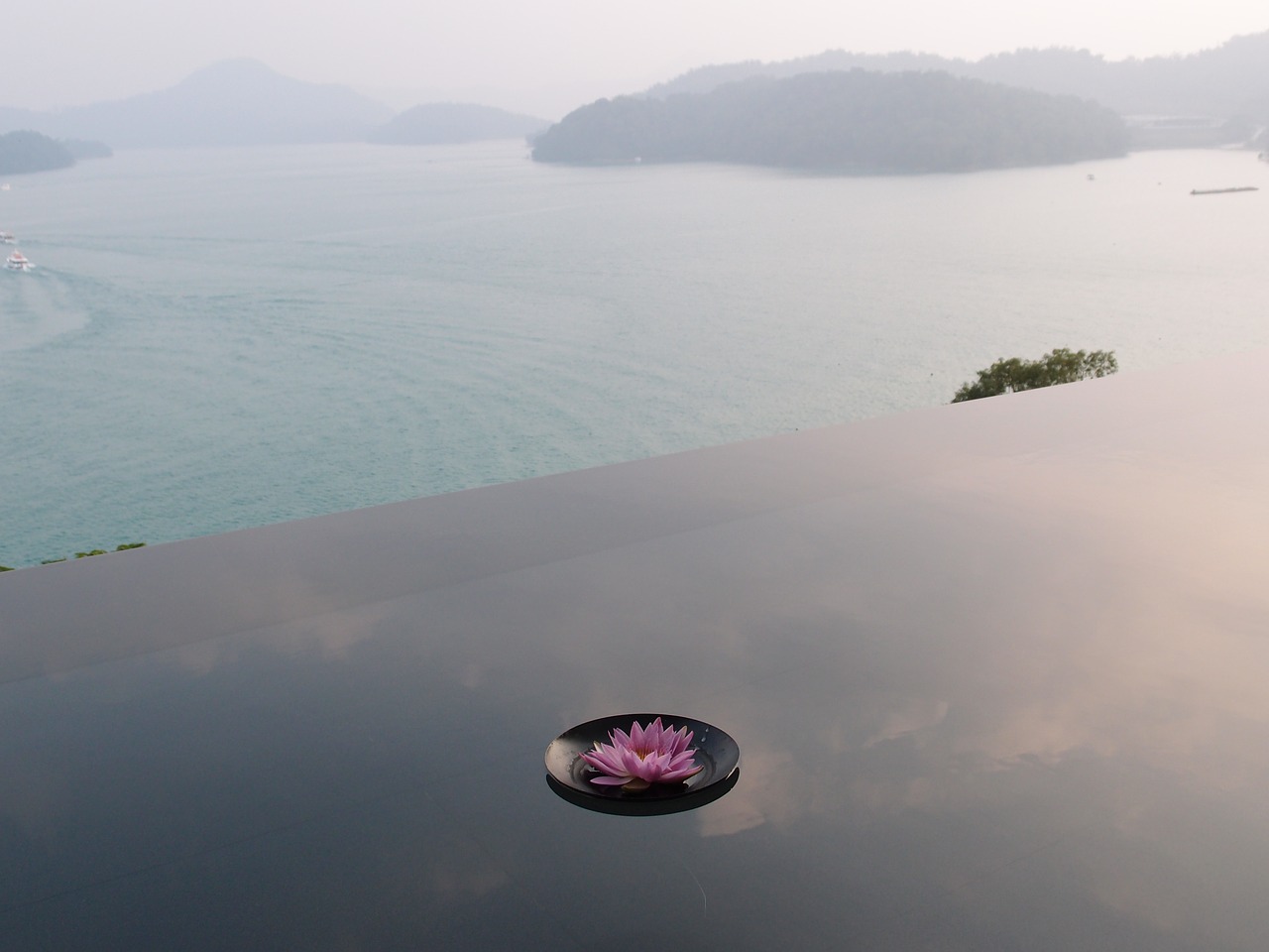 sun moon lake reflection pond flower free photo