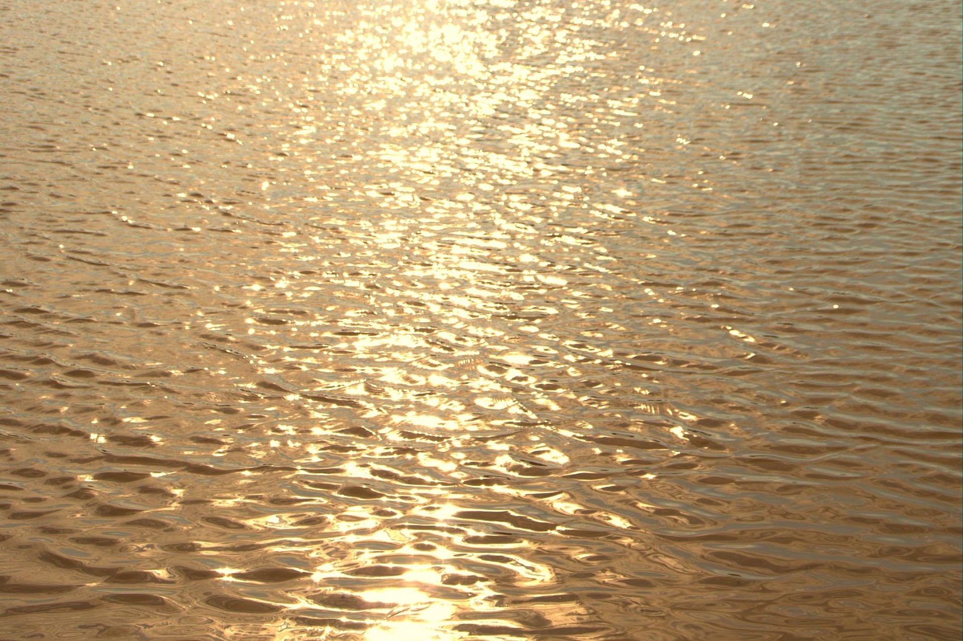 sun water ripples free photo